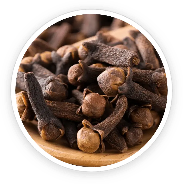 Clove in FortBite