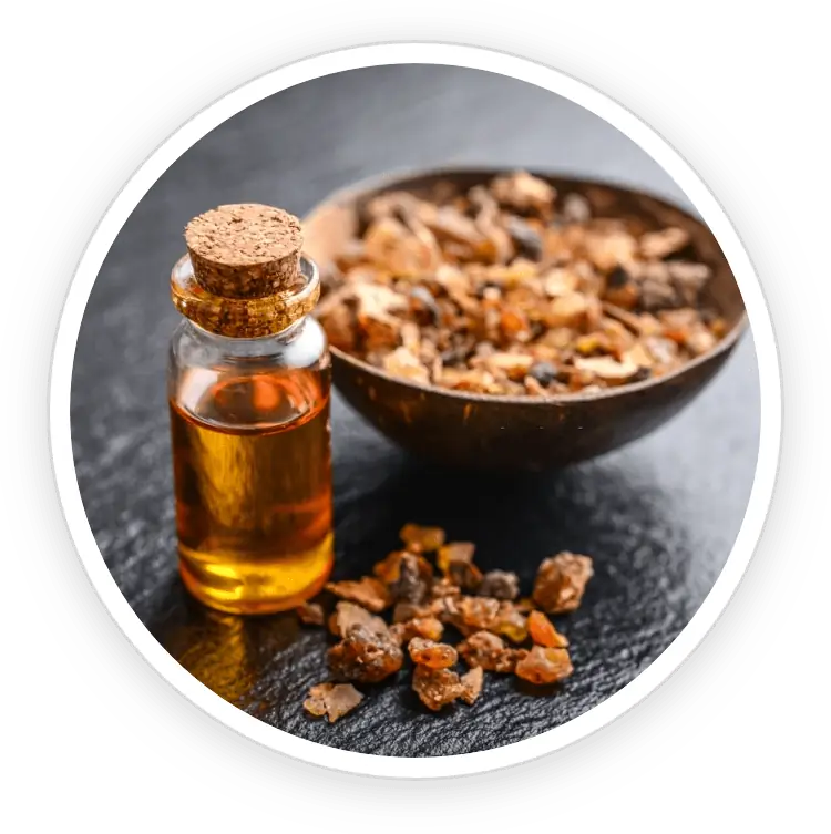 Myrrh in FortBite